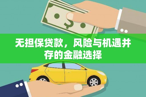 青羊无担保贷款，风险与机遇并存的金融选择