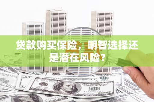 青羊贷款购买保险，明智选择还是潜在风险？