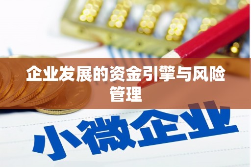 青羊企业发展的资金引擎与风险管理
