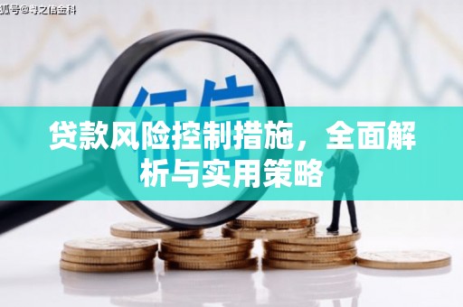 青羊贷款风险控制措施，全面解析与实用策略
