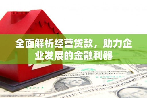 青羊全面解析经营贷款，助力企业发展的金融利器