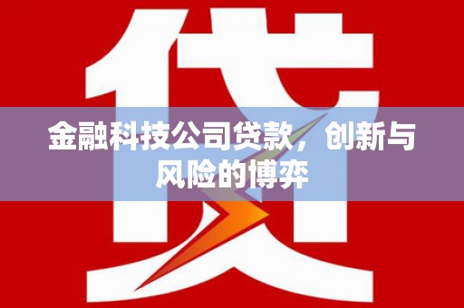 青羊金融科技公司贷款，创新与风险的博弈