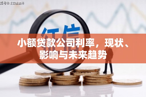 青羊小额贷款公司利率，现状、影响与未来趋势