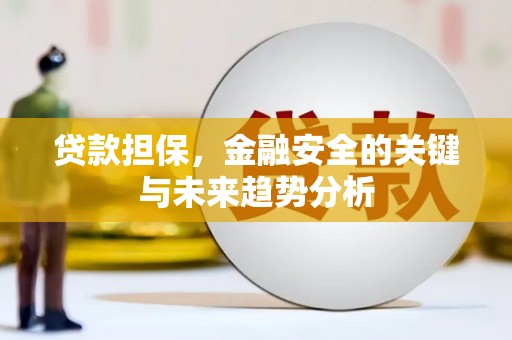 青羊贷款担保，金融安全的关键与未来趋势分析
