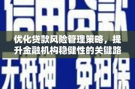 青羊优化贷款风险管理策略，提升金融机构稳健性的关键路径