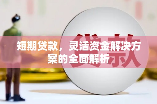 青羊短期贷款，灵活资金解决方案的全面解析