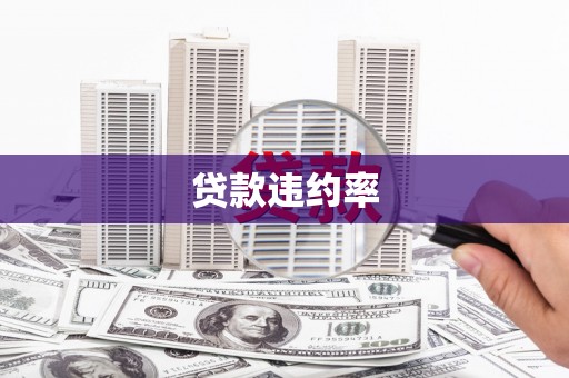 青羊贷款违约率