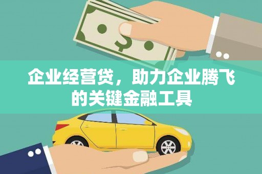 青羊企业经营贷，助力企业腾飞的关键金融工具