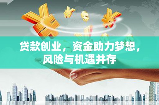 青羊贷款创业，资金助力梦想，风险与机遇并存
