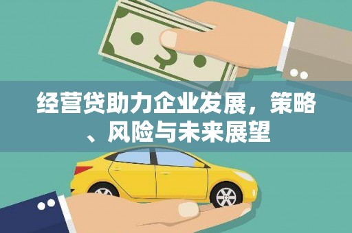 青羊经营贷助力企业发展，策略、风险与未来展望