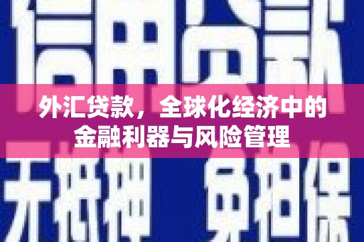 青羊外汇贷款，全球化经济中的金融利器与风险管理