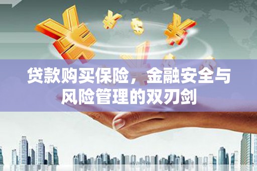 青羊贷款购买保险，金融安全与风险管理的双刃剑