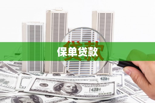 青羊保单贷款