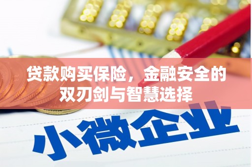 青羊贷款购买保险，金融安全的双刃剑与智慧选择