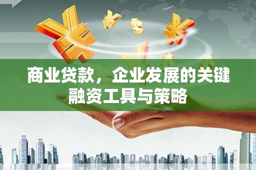 青羊商业贷款，企业发展的关键融资工具与策略