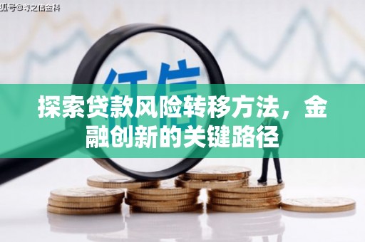 青羊探索贷款风险转移方法，金融创新的关键路径