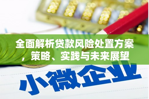 青羊全面解析贷款风险处置方案，策略、实践与未来展望