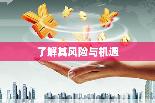 青羊了解其风险与机遇