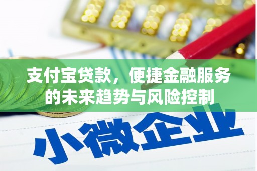 青羊支付宝贷款，便捷金融服务的未来趋势与风险控制