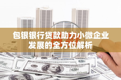 青羊包银银行贷款助力小微企业发展的全方位解析
