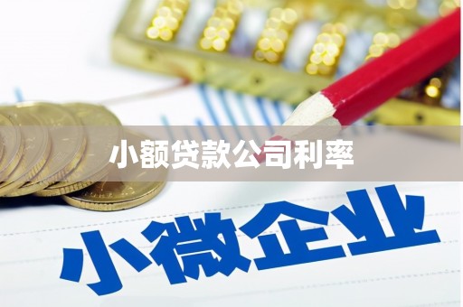 青羊小额贷款公司利率