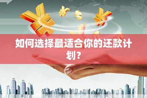 青羊如何选择最适合你的还款计划？