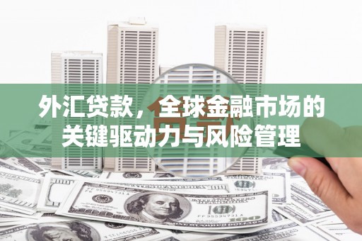 青羊外汇贷款，全球金融市场的关键驱动力与风险管理