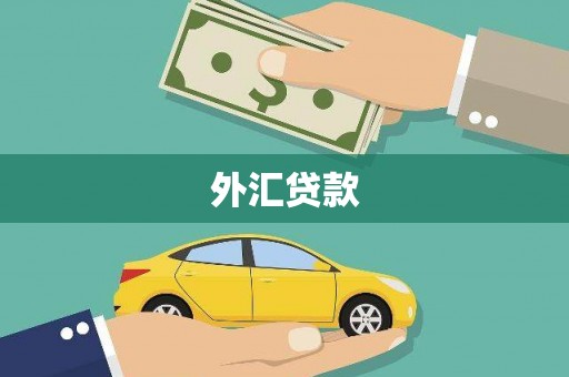 青羊外汇贷款