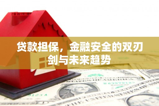 青羊贷款担保，金融安全的双刃剑与未来趋势