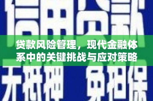 青羊贷款风险管理，现代金融体系中的关键挑战与应对策略