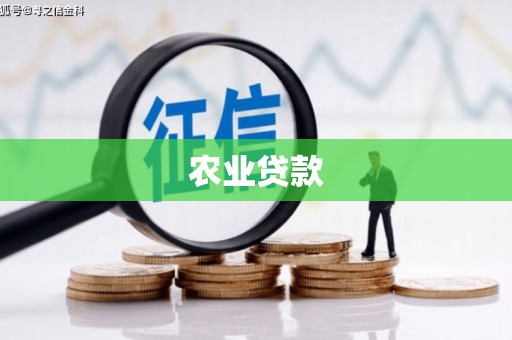 青羊农业贷款