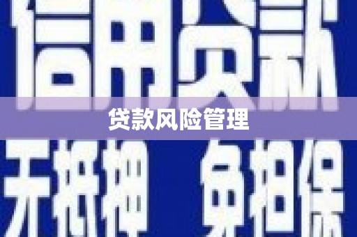 青羊贷款风险管理