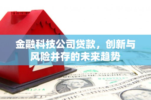 青羊金融科技公司贷款，创新与风险并存的未来趋势