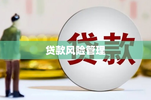 青羊贷款风险管理