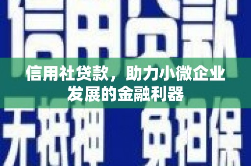 青羊信用社贷款，助力小微企业发展的金融利器