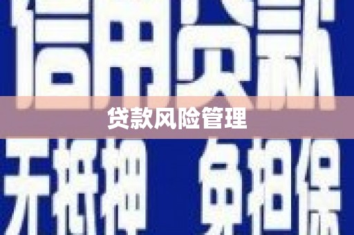 青羊贷款风险管理