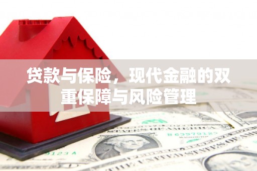 青羊贷款与保险，现代金融的双重保障与风险管理