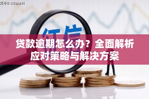 青羊贷款逾期怎么办？全面解析应对策略与解决方案