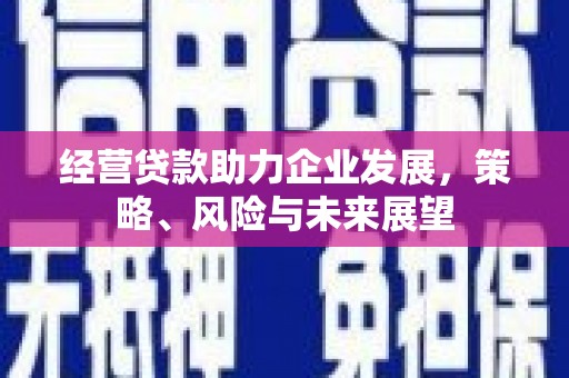 青羊经营贷款助力企业发展，策略、风险与未来展望