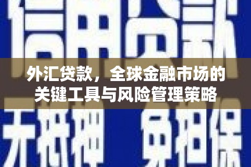 青羊外汇贷款，全球金融市场的关键工具与风险管理策略