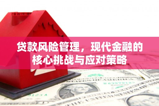 青羊贷款风险管理，现代金融的核心挑战与应对策略