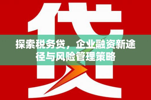 青羊探索税务贷，企业融资新途径与风险管理策略