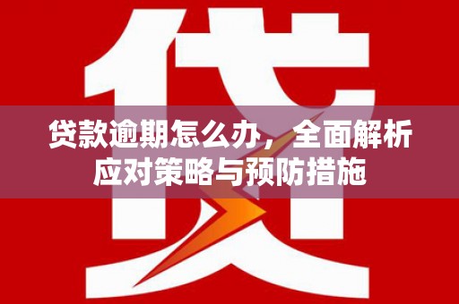 青羊贷款逾期怎么办，全面解析应对策略与预防措施