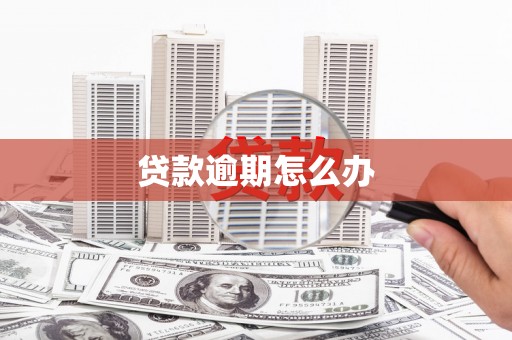 青羊贷款逾期怎么办