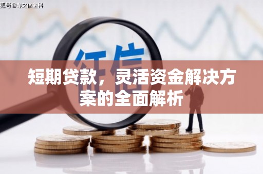青羊短期贷款，灵活资金解决方案的全面解析