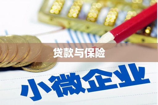青羊贷款与保险