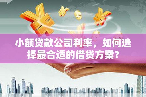 青羊小额贷款公司利率，如何选择最合适的借贷方案？