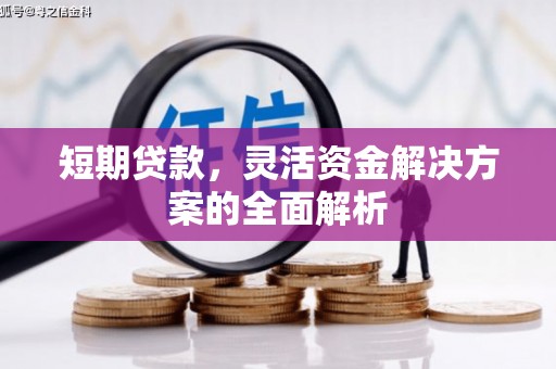 青羊短期贷款，灵活资金解决方案的全面解析
