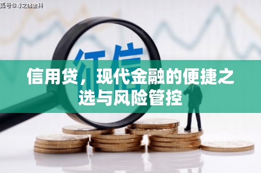 青羊信用贷，现代金融的便捷之选与风险管控