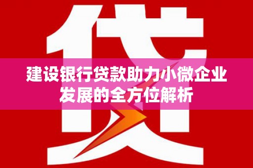 青羊建设银行贷款助力小微企业发展的全方位解析